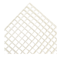 Image Wire guard & lens